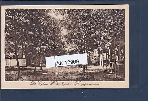 [Ansichtskarte] AK Dt. Eylau Waldschlösschen Hauptpromenade 1930. 