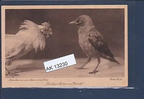 [Ansichtskarte] AK Die bösen Buben von Kounth Aufnahme aus dem Leben meiner Tiere 1930. 