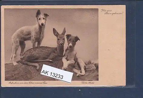 [Ansichtskarte] AK Wie aus Stein gehauen Aufnahme aus dem Leben meiner Tiere 1930. 