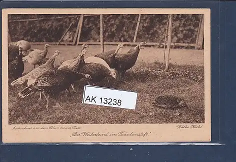 [Ansichtskarte] AK Der Weiberfeind im Fräuleinstift Aufnahme aus dem Leben meiner Tiere 1930. 