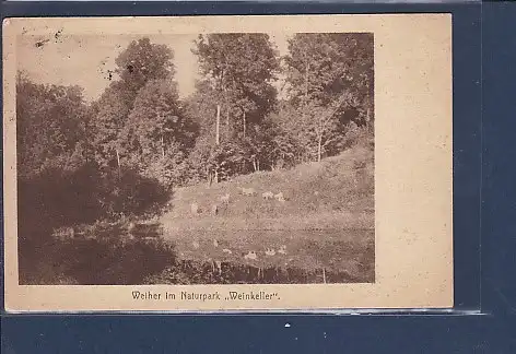 [Ansichtskarte] AK Weiher im Naturpark Weinkeller Silicium Heilquelle Kieselbrunnen 1920. 