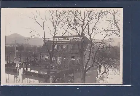 [Ansichtskarte] Photo AK Hotel Rheingold Cafe Haus Für Bürgerl. Ansprüche Hochwasser. 