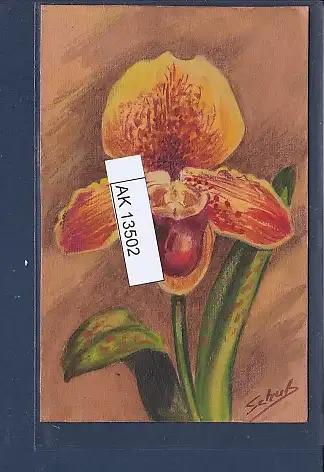 [Ansichtskarte] Karte Handgemalt signiert Schulz Orchidee. 