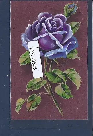 [Ansichtskarte] Karte Handgemalt Rose blau. 