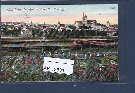 [Ansichtskarte] AK Gruss aus der Blumenstadt Quedlinburg 1909. 