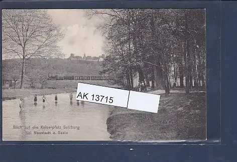 [Ansichtskarte] AK Blick auf die Kaiserpfalz Salzburg bei Neustadt a. Saale 1911. 