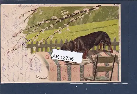 [Ansichtskarte] Litho AK Dackel leert ein Topf 1901. 