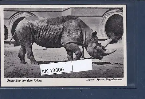 [Ansichtskarte] AK Unser Zoo vor dem Kriege Mtoto Afrikan. Doppelnashorn 1940. 