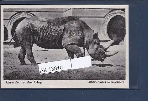 [Ansichtskarte] AK Unser Zoo vor dem Kriege Mtoto Afrikan. Doppelnashorn 1940. 