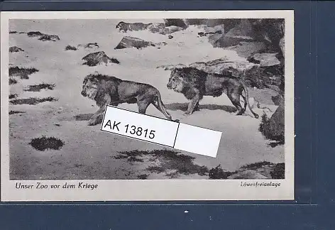 [Ansichtskarte] AK Unser Zoo vor dem Kriege Löwenfreianlage 1940. 