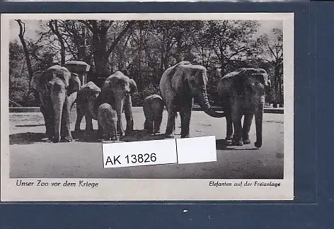 [Ansichtskarte] AK Unser Zoo vor dem Kriege Elefanten auf der Freianlage 1940. 