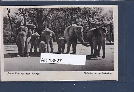 [Ansichtskarte] AK Unser Zoo vor dem Kriege Elefanten auf der Freianlage 1940. 