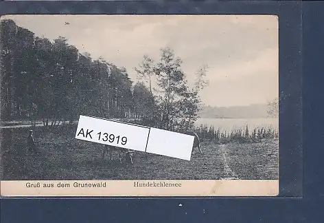 [Ansichtskarte] AK Gruß aus dem Grunewald Hundekehlensee 1920. 