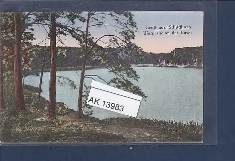 [Ansichtskarte] AK Gruß aus Schildhorn Uferpartie an der Havel 1920. 