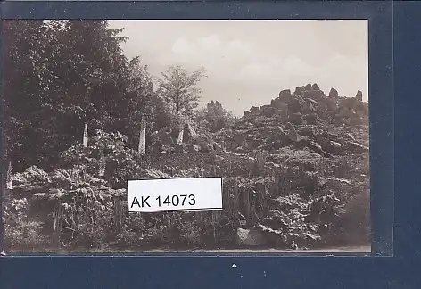 [Ansichtskarte] AK Botanischer Garten Berlin Dahlem Blick auf die Himalaya Gruppe 1940. 