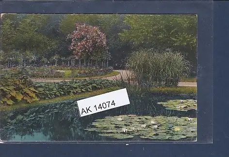 [Ansichtskarte] AK Berlin Steglitz Der Rosengarten im Stadtpark 1920. 