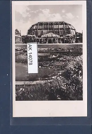 [Ansichtskarte] AK Botanischer Garten Berlin Dahlem Großes Palmenhaus mit Teich 1943. 