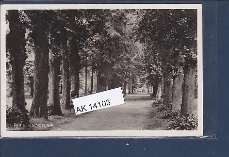 [Ansichtskarte] AK Partie im Schlosspark 1930. 