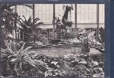 [Ansichtskarte] AK Tierpark Berlin Tropenhalle im Alfred Brehm Haus 1966. 