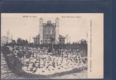 [Ansichtskarte] AK Dahlem bei Berlin Neuer Botanischer Garten Das Winterhaus Pflanzen des inneren Kaplandes 1900. 