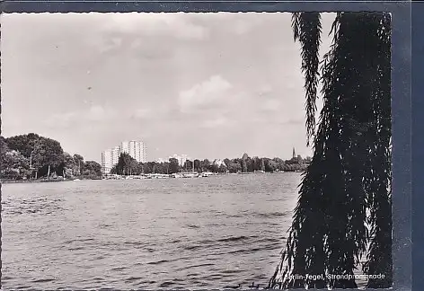 [Ansichtskarte] AK Berlin Tegel Strandpromenade 1960. 