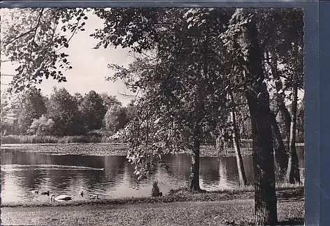 [Ansichtskarte] AK Berlin Hermsdorf Am Waldsee 1960. 