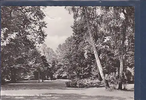 [Ansichtskarte] AK Berlin Niederschönhausen Im Brosepark 1964. 