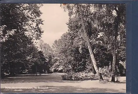 [Ansichtskarte] AK Berlin Niederschönhausen Im Brosepark 1962. 