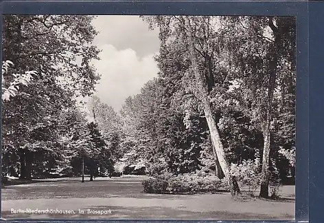 [Ansichtskarte] AK Berlin Niederschönhausen Im Brosepark 1961. 