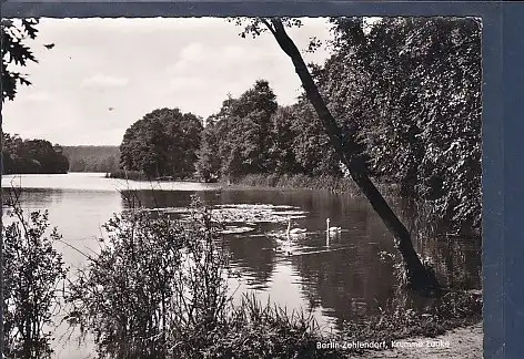 [Ansichtskarte] AK Berlin Zehlendorf Krumme Lanke 1960. 