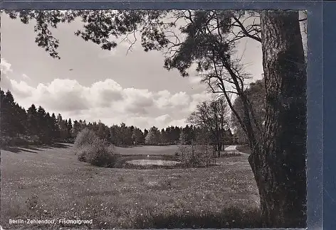 [Ansichtskarte] AK Berlin Zehlendorf Fischtalgrund 1960. 