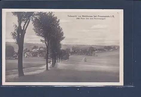 [Ansichtskarte] AK Teilansicht von Reichenau bei Frauenstein i.E.  1931. 