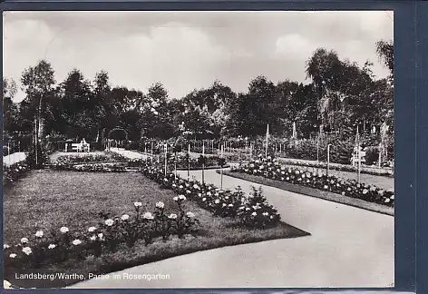 [Ansichtskarte] AK Landsberg / Warthe Partie im Rosengarten 1982. 