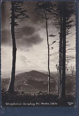 [Ansichtskarte] AK Königshainer Spitzberg bei Wartha / Schles 1950. 