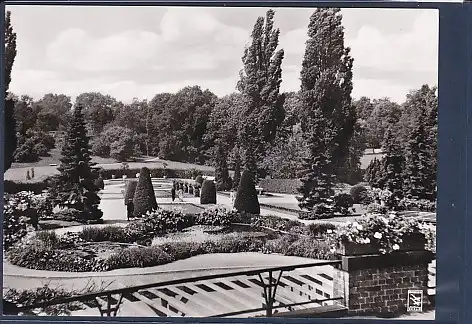 [Ansichtskarte] AK Berlin Botanischer Garten Italienisches Panorama 1960. 
