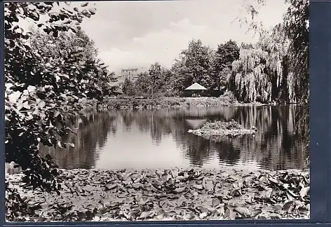 [Ansichtskarte] AK Berlin Spandau Südpark 1960. 
