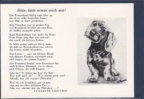 [Ansichtskarte] AK Tierschutzverein für Berlin u. Umgebung Corp. Tierheim Berlin Lankwitz Bitte bitte nimm mich mit! 1960. 