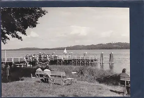 [Ansichtskarte] AK Ferch Anlegestelle 1969. 