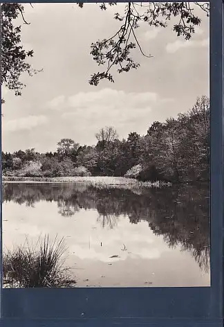[Ansichtskarte] AK Michendorf b. Potsdam Herthasee 1973. 