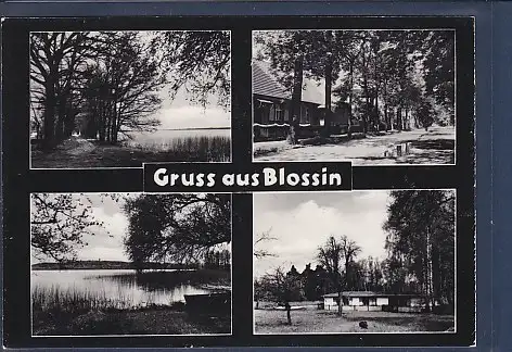 [Ansichtskarte] AK Gruss aus Blossin 4.Ansichten 1965. 