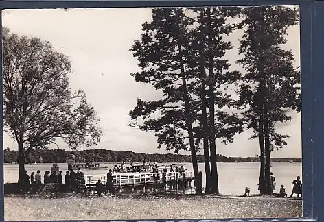 [Ansichtskarte] AK Bad Saarow Pieskow Dampferanlegestelle 1967. 