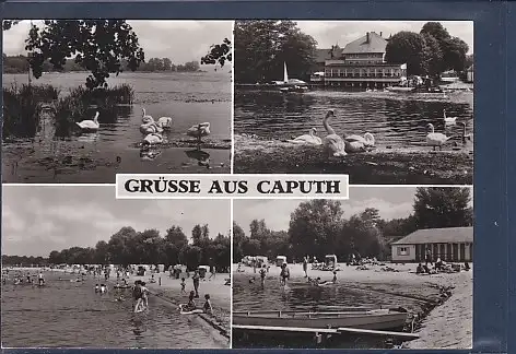 [Ansichtskarte] AK Grüsse aus Caputh 4.Ansichten 1984. 