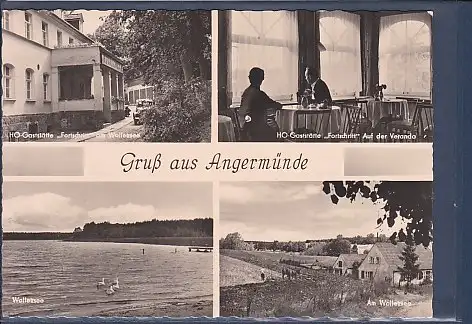 [Ansichtskarte] AK Gruß aus Angermünde 4.Ansichten HO Gaststätte Fortschritt am Wolletzsee - HO Gaststätte Fortschritt Auf der Veranda 1963. 