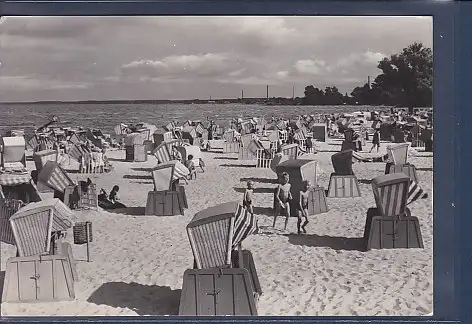 [Ansichtskarte] AK Ueckermünde Haffbad 1979. 