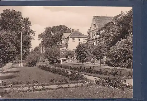 [Ansichtskarte] AK Insel Poel - Schwarzer Busch 1972. 