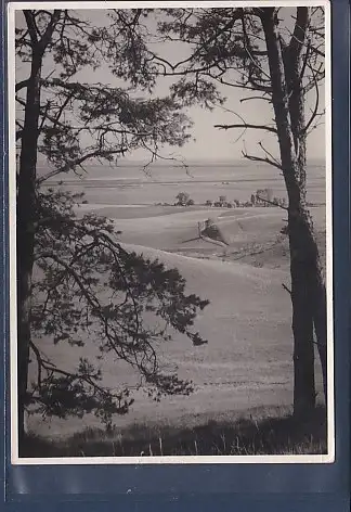 [Ansichtskarte] AK Blick auf Grieben / Hiddensee 1956. 