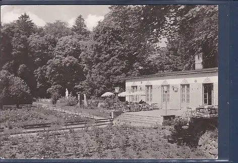 [Ansichtskarte] AK Putbus ( Rügen) Rosengarten 1968. 