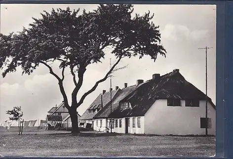[Ansichtskarte] AK Insel Hiddensee - Neuendorf 1968. 