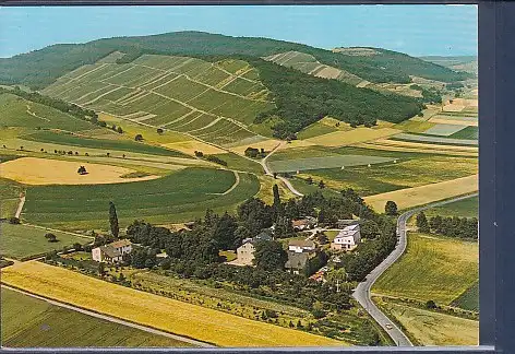[Ansichtskarte] AK Felke Kurhaus Menschel Sanatorium für Naturheilkunde Sobernheim-Meddersheim ( Nahe) Luftbild 1970. 