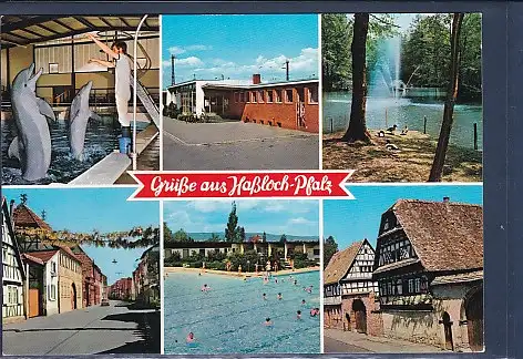 [Ansichtskarte] AK Grüße aus Haßloch-Pfalz 6.Ansichten Delphinarium - Bahnhof - Vogelpark - Langgasse - Freibad - Älteste Häuser 1970. 